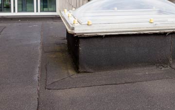disadvantages of Ardler flat roofs